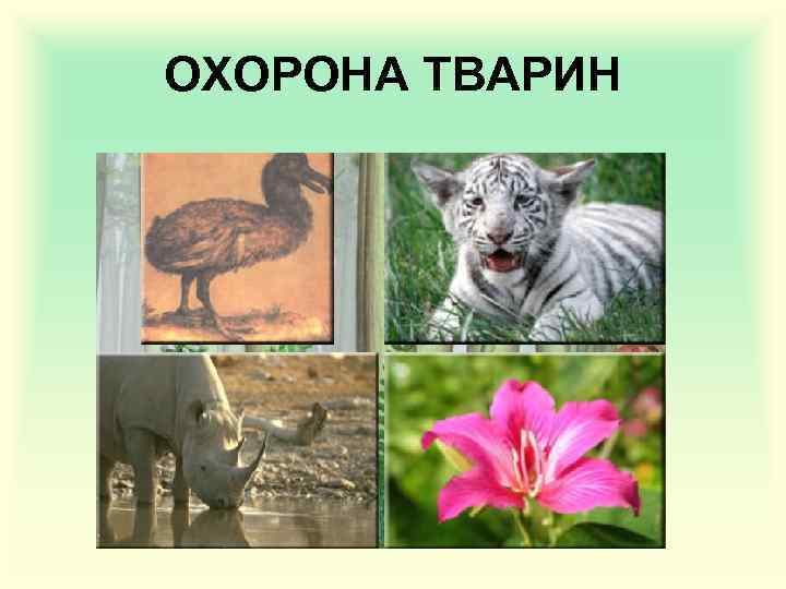 ОХОРОНА ТВАРИН 