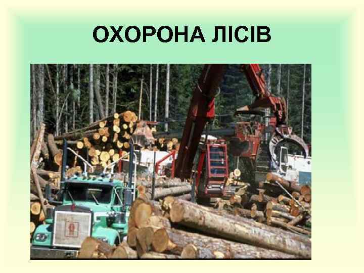 ОХОРОНА ЛІСІВ 