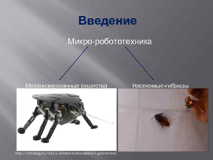 Введение Микро-робототехника Механизированные существа http: //roboting. ru/1341 -u-robotov-budut-tarany-v-golove. html Насекомые-гибриды 