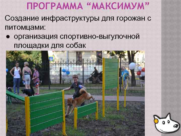 ПРОГРАММА “МАКСИМУМ” Создание инфраструктуры для горожан с питомцами: ● организация спортивно-выгулочной площадки для собак