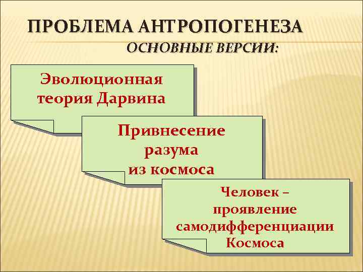 Современные проблемы теории эволюции. Философские аспекты антропогенеза. Проблематика антропогенеза. Основные теории антропогенеза. Основные вопросы антропогенеза.