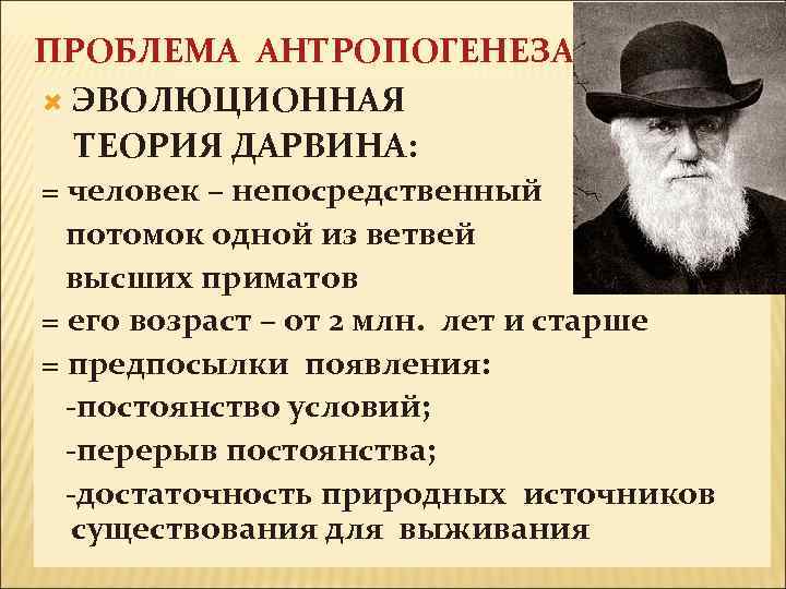 ПРОБЛЕМА АНТРОПОГЕНЕЗА ЭВОЛЮЦИОННАЯ ТЕОРИЯ ДАРВИНА: = человек – непосредственный потомок одной из ветвей высших