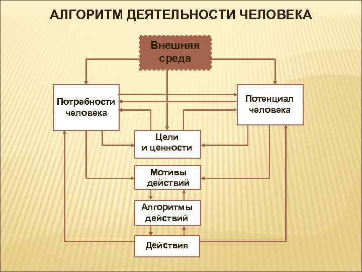 Алгоритм деятельности. Алгоритм человеческой деятельности. Алгоритм потребностей человека. Алгоритмизация в деятельности человека примеры.