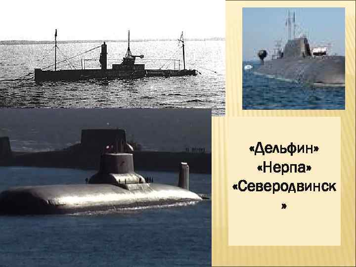  «Дельфин» «Нерпа» «Северодвинск » 