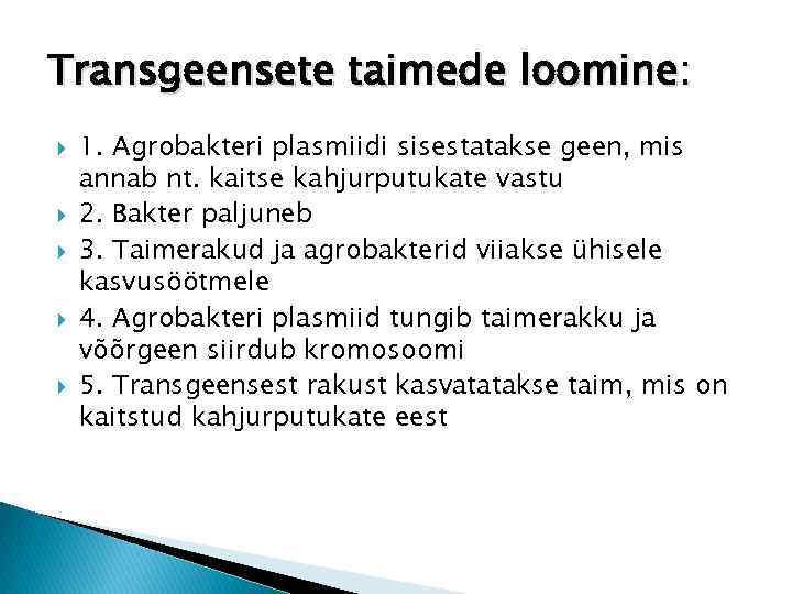 Transgeensete taimede loomine: 1. Agrobakteri plasmiidi sisestatakse geen, mis annab nt. kaitse kahjurputukate vastu