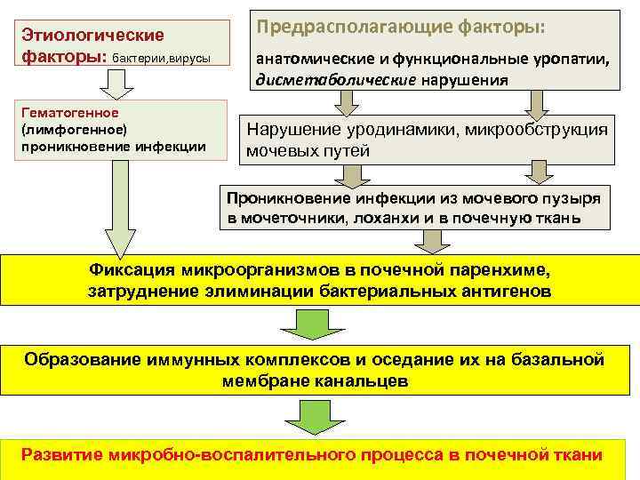 Этиологические факторы: бактерии, вирусы Гематогенное (лимфогенное) проникновение инфекции Предрасполагающие факторы: анатомические и функциональные уропатии,