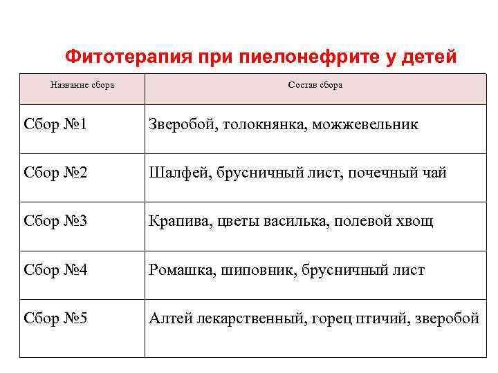 Фитотерапия при пиелонефрите у детей Название сбора Состав сбора Сбор № 1 Зверобой, толокнянка,