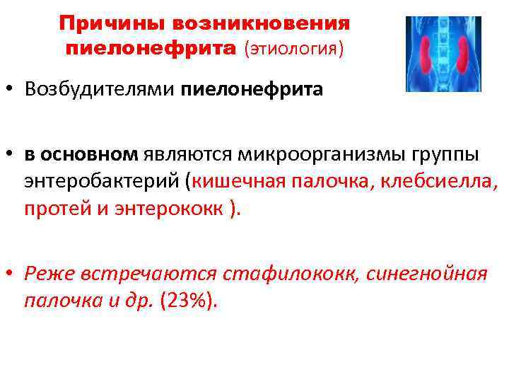 Причины возникновения пиелонефрита (этиология) • Возбудителями пиелонефрита • в основном являются микроорганизмы группы энтеробактерий