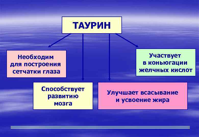 ТАУРИН Необходим для построения сетчатки глаза Способствует развитию мозга Участвует в коньюгации желчных кислот