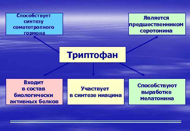 Способствует синтезу соматотропного гормона Является предшественником серотонина Триптофан Входит в состав биологически активных белков