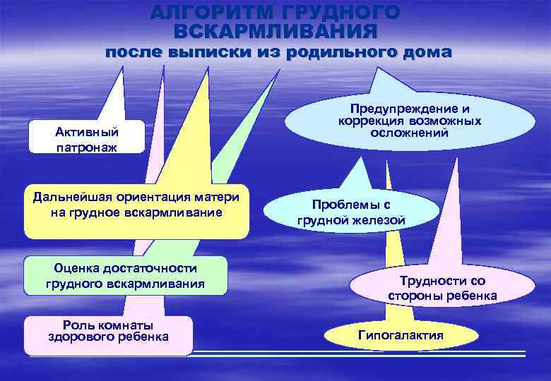 АЛГОРИТМ ГРУДНОГО ВСКАРМЛИВАНИЯ после выписки из родильного дома Активный патронаж Дальнейшая ориентация матери на