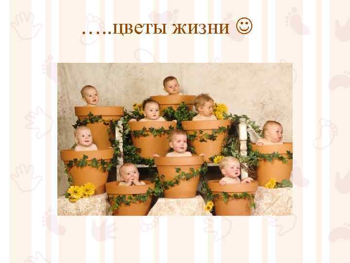 …. . цветы жизни 