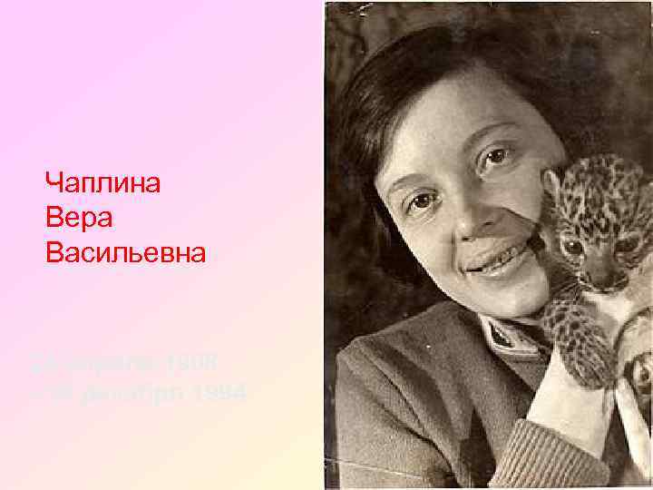 Чаплина Вера Васильевна 24 апреля 1908 - 19 декабря 1994 