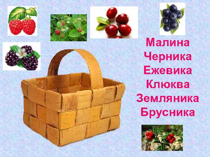 Малина Черника Ежевика Клюква Земляника Брусника 
