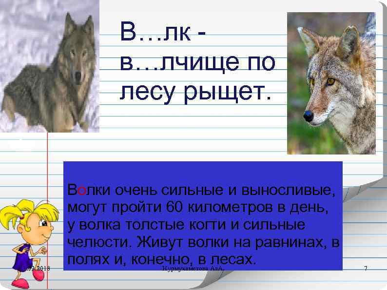 В…лк в…лчище по лесу рыщет. 11. 02. 2018 Волки очень сильные и выносливые, могут