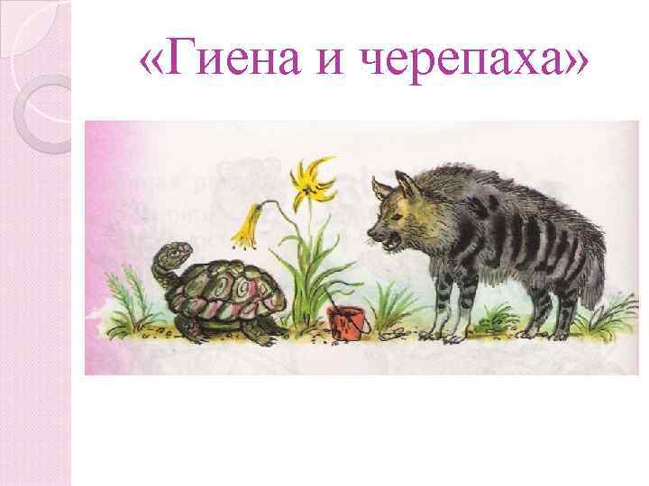  «Енаги и репачеха» «Гиена и черепаха» 