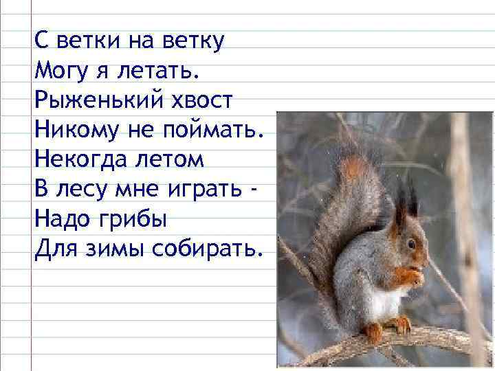 С ветки на ветку Могу я летать. Рыженький хвост Никому не поймать. Некогда летом