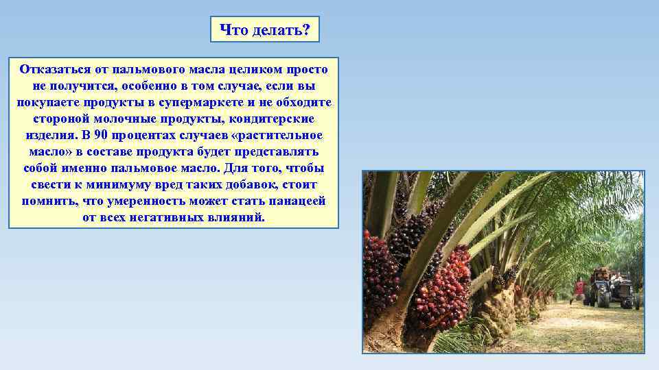 Что делать? Отказаться от пальмового масла целиком просто не получится, особенно в том случае,
