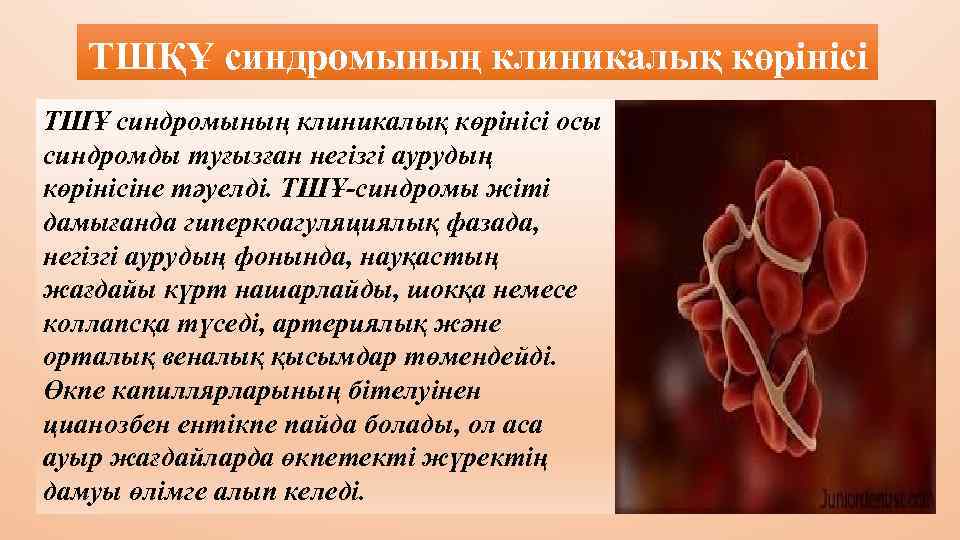 ТШҚҰ синдромының клиникалық көрінісі ТШҰ синдромының клиникалық көрінісі осы синдромды туғызған негізгі аурудың көрінісіне