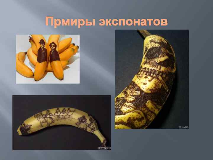 Прмиры экспонатов 