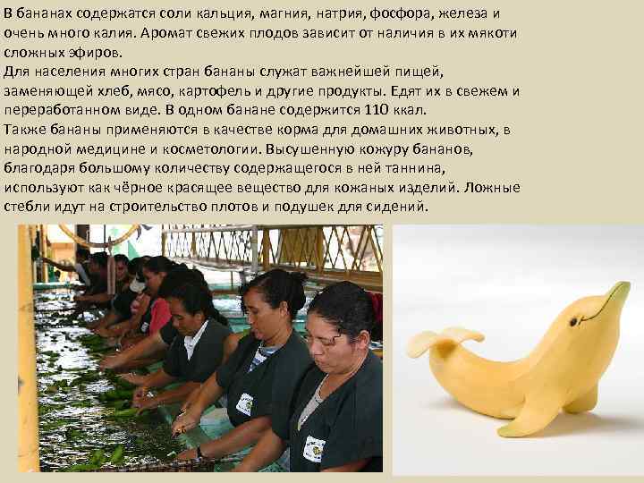 В бананах содержатся соли кальция, магния, натрия, фосфора, железа и очень много калия. Аромат