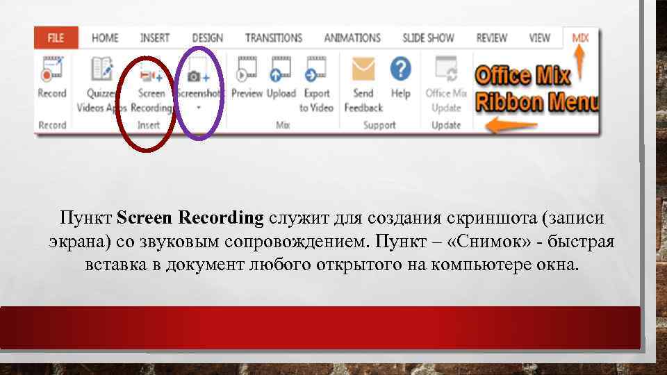Пункт Screen Recording служит для создания скриншота (записи экрана) со звуковым сопровождением. Пункт –