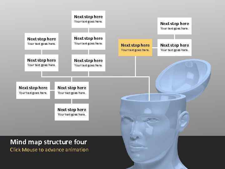 Next step here Your text goes here. Next step here Your text goes here.