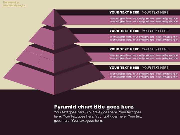 The animation automatically begins. YOUR TEXT HERE Your text goes here. Your text goes