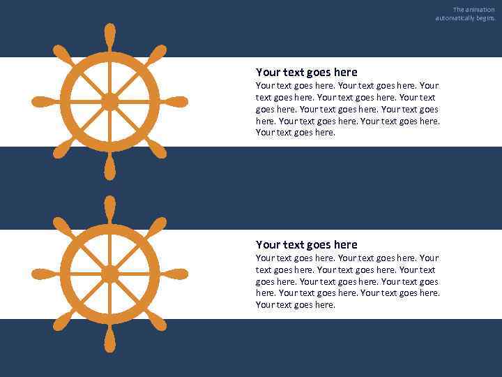 The animation automatically begins. Your text goes here. Your text goes here. 