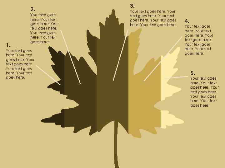 2. 1. Your text goes here. 3. Your text goes here. 4. Your text