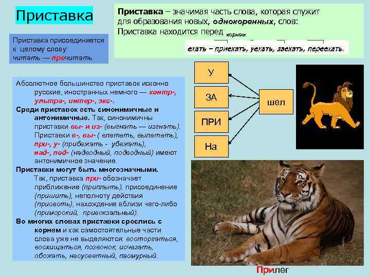 Приставка присоединяется к целому слову: читать — прочитать Приставка – значимая часть слова, которая