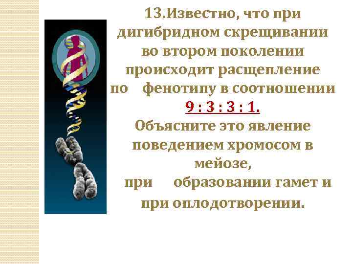 13. Известно, что при дигибридном скрещивании во втором поколении происходит расщепление по фенотипу в