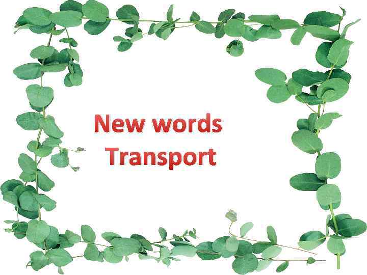New words Transport 