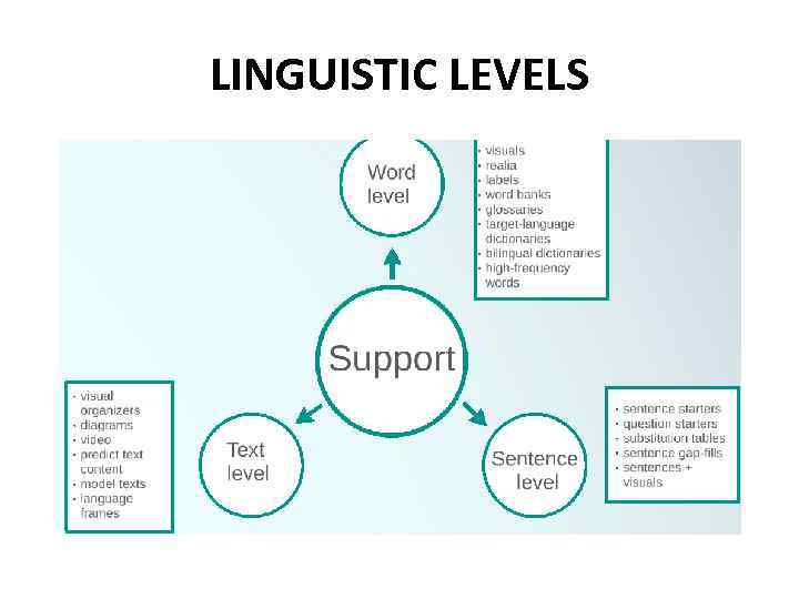 LINGUISTIC LEVELS 