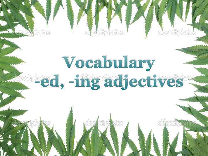 Vocabulary -ed, -ing adjectives 