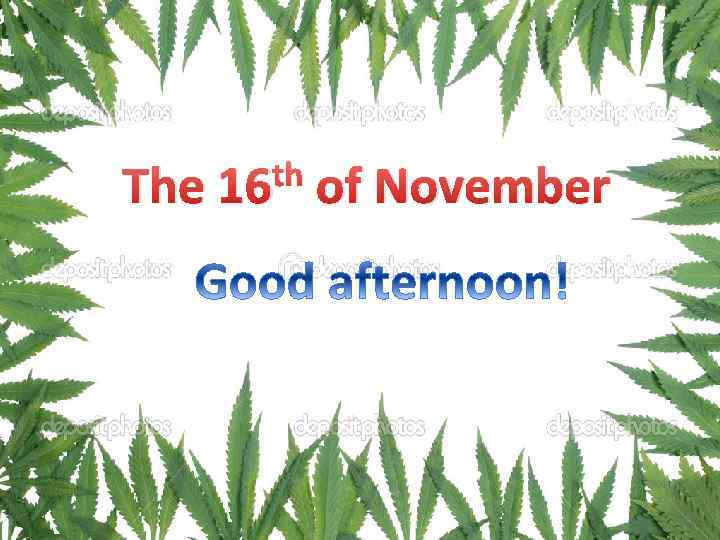 th of November The 16 