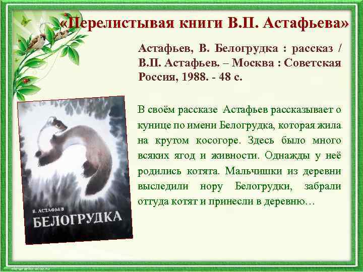  «Перелистывая книги В. П. Астафьева» Астафьев, В. Белогрудка : рассказ / В. П.
