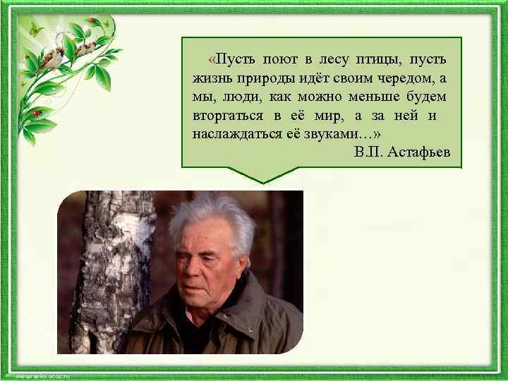  «Пусть поют пусть в лесу птицы, жизнь природы идёт своим чередом, а мы,