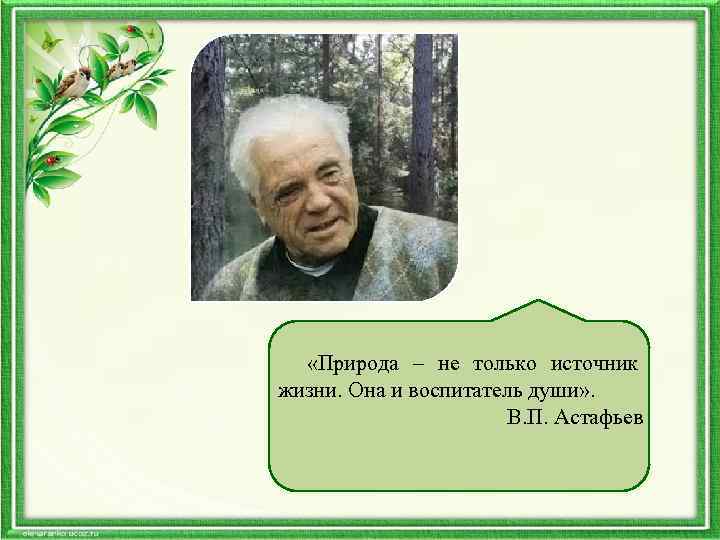  «Природа – не только источник жизни. Она и воспитатель души» . В. П.