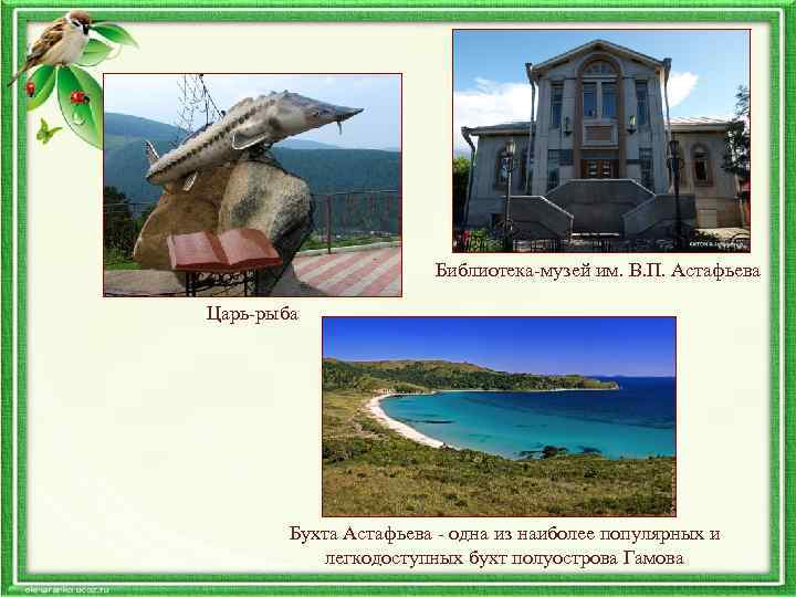 Библиотека-музей им. В. П. Астафьева Царь-рыба Бухта Астафьева - одна из наиболее популярных и