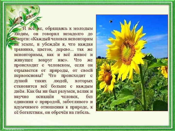  И всё же, обращаясь к молодым людям, он говорил незадолго до смерти: «Каждый