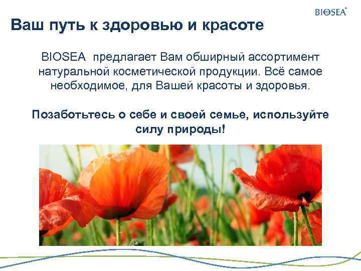 Ваш путь к здоровью и красоте BIOSEA предлагает Вам обширный ассортимент натуральной косметической продукции.