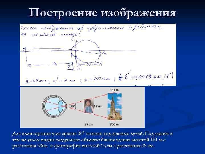 Построение изображения Для иллюстрации угла зрения 30° показан ход краевых лучей. Под одним и