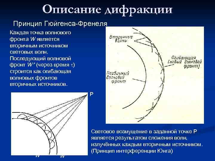 Описание дифракции Принцип Гюйгенса-Френеля Каждая точка волнового фронта W является вторичным источником световых волн.