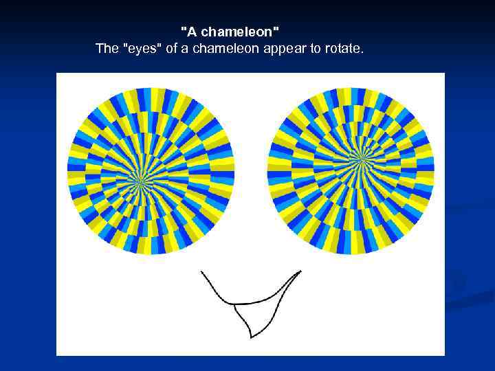 "A chameleon" The "eyes" of a chameleon appear to rotate. 