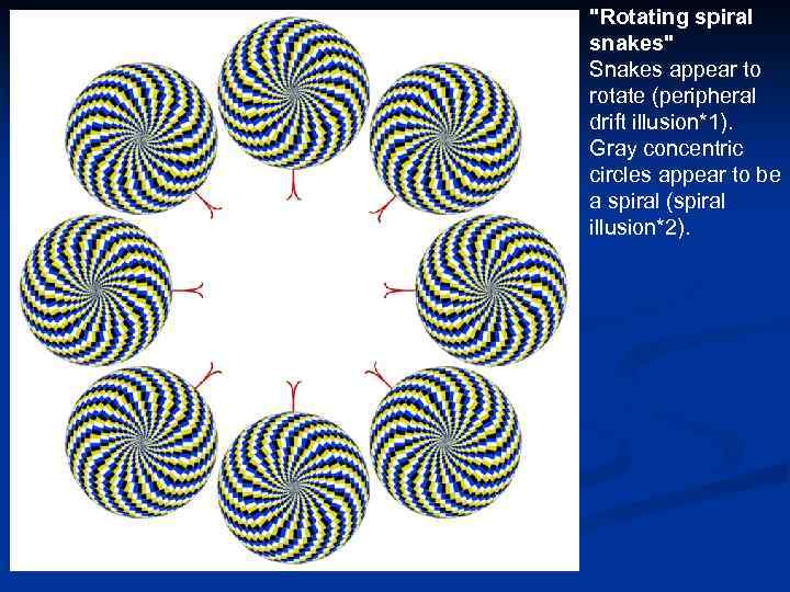 "Rotating spiral snakes" Snakes appear to rotate (peripheral drift illusion*1). Gray concentric circles appear