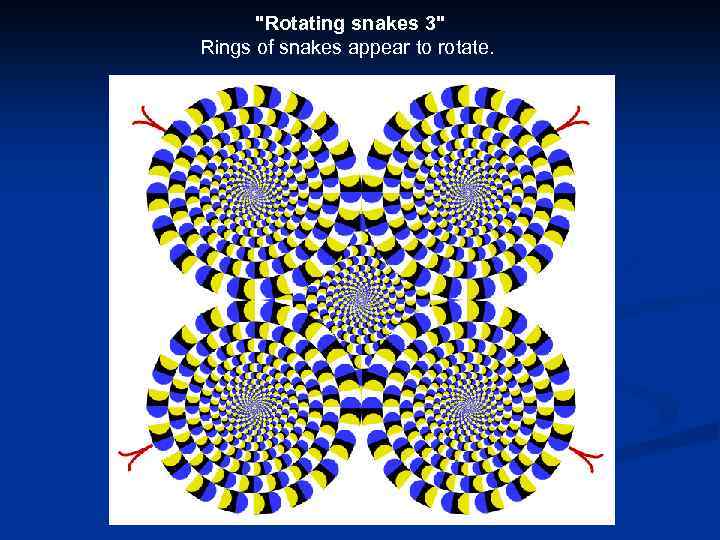 "Rotating snakes 3" Rings of snakes appear to rotate. 