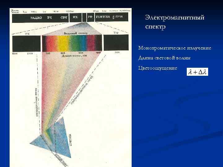 Электромагнитный спектр Монохроматическое излучение Длина световой волны Цветоощущение 