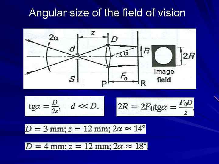 Angular size of the field of vision 