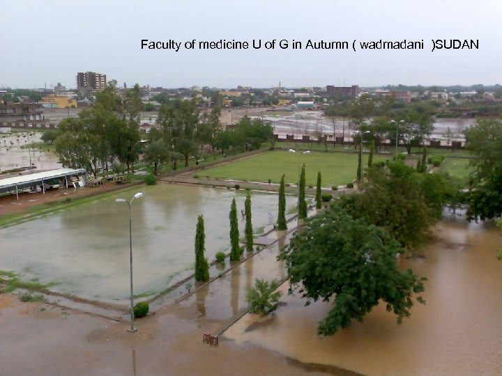 Faculty of medicine U of G in Autumn ( wadmadani )SUDAN 